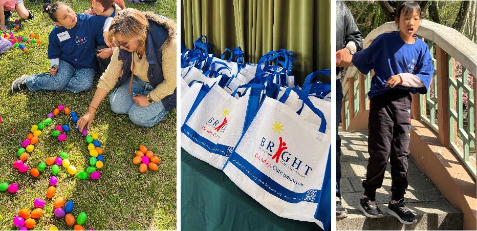 BRIGHT-Inclusion-in-Bloom3